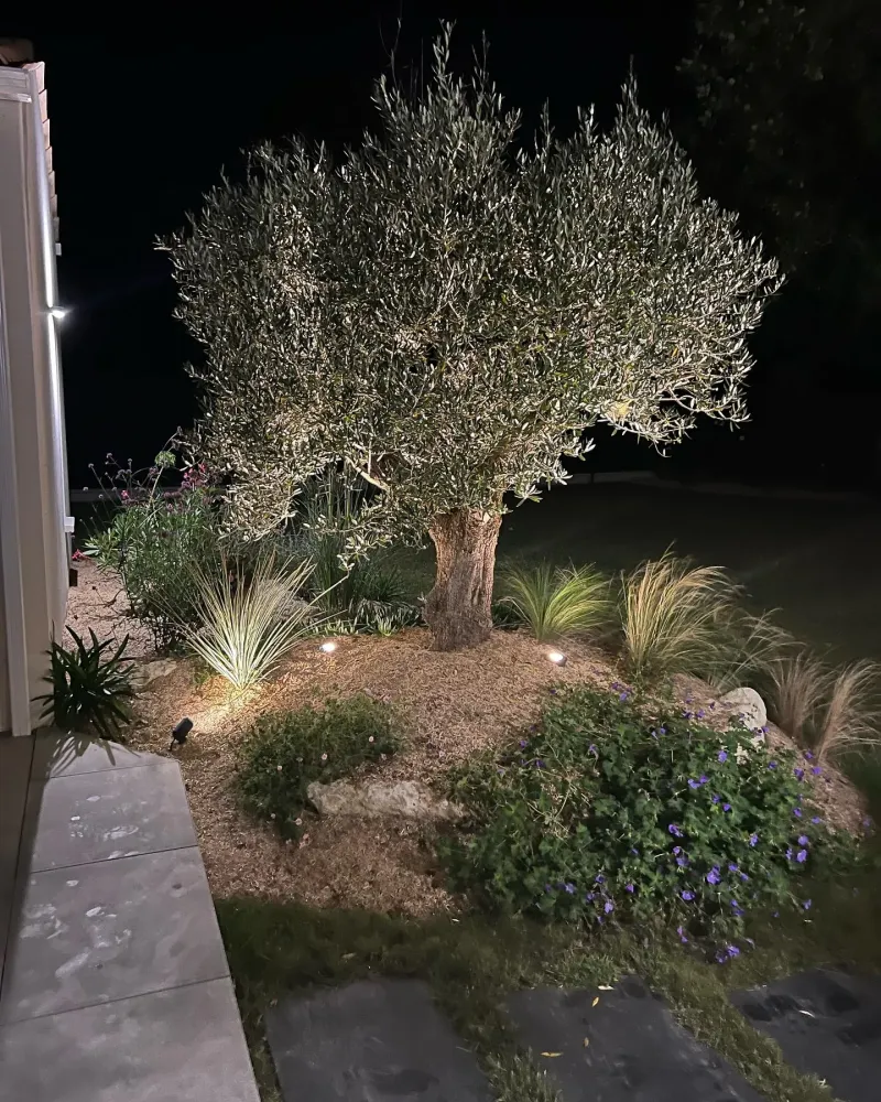 nos realisations (15)