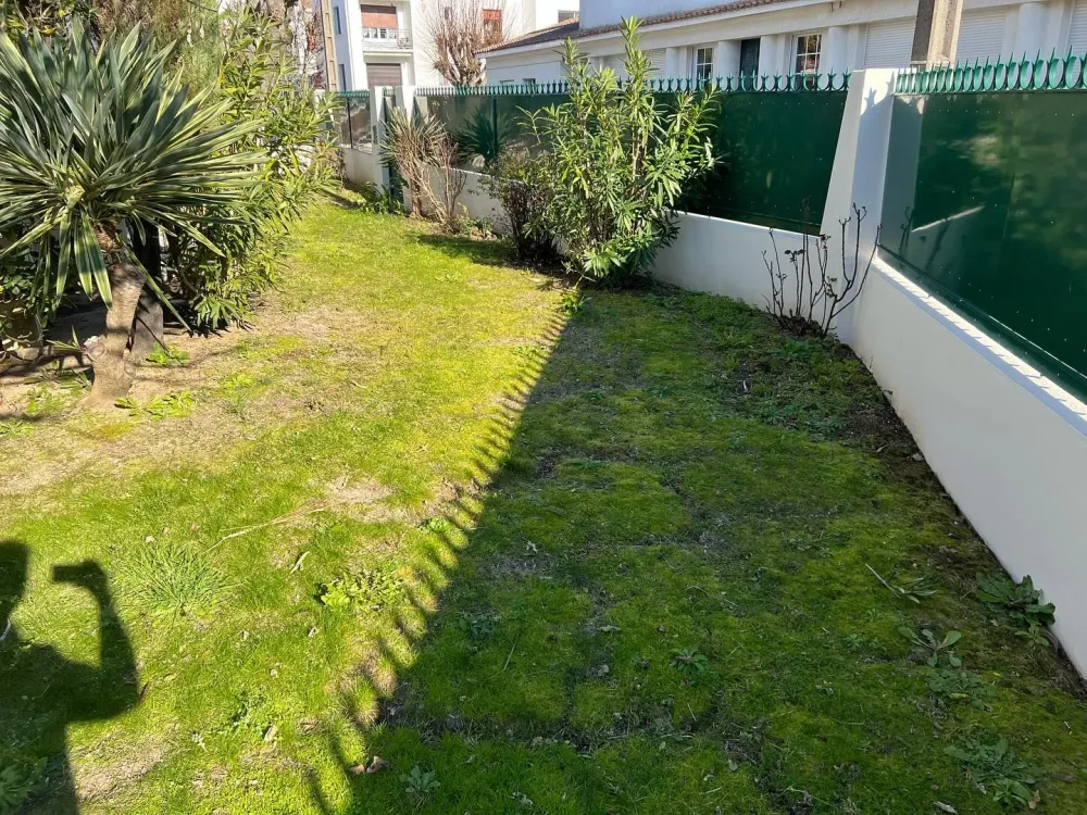 Design paysager à Epargne